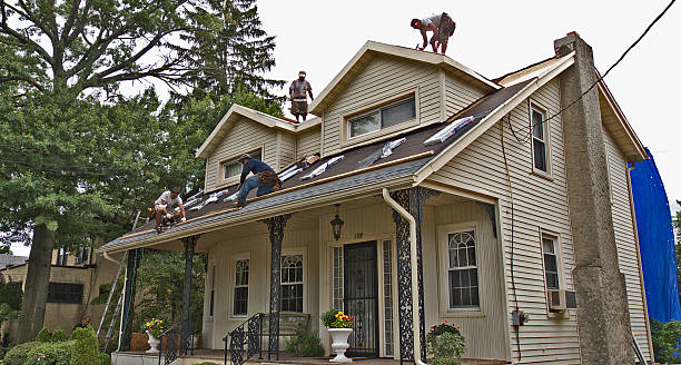 Roof Gutter Cleaning in Williamsburg, OH